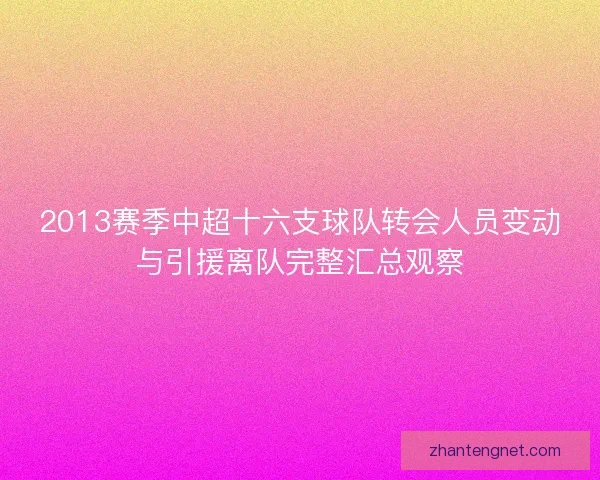 2013赛季中超十六支球队转会人员变动与引援离队完整汇总观察